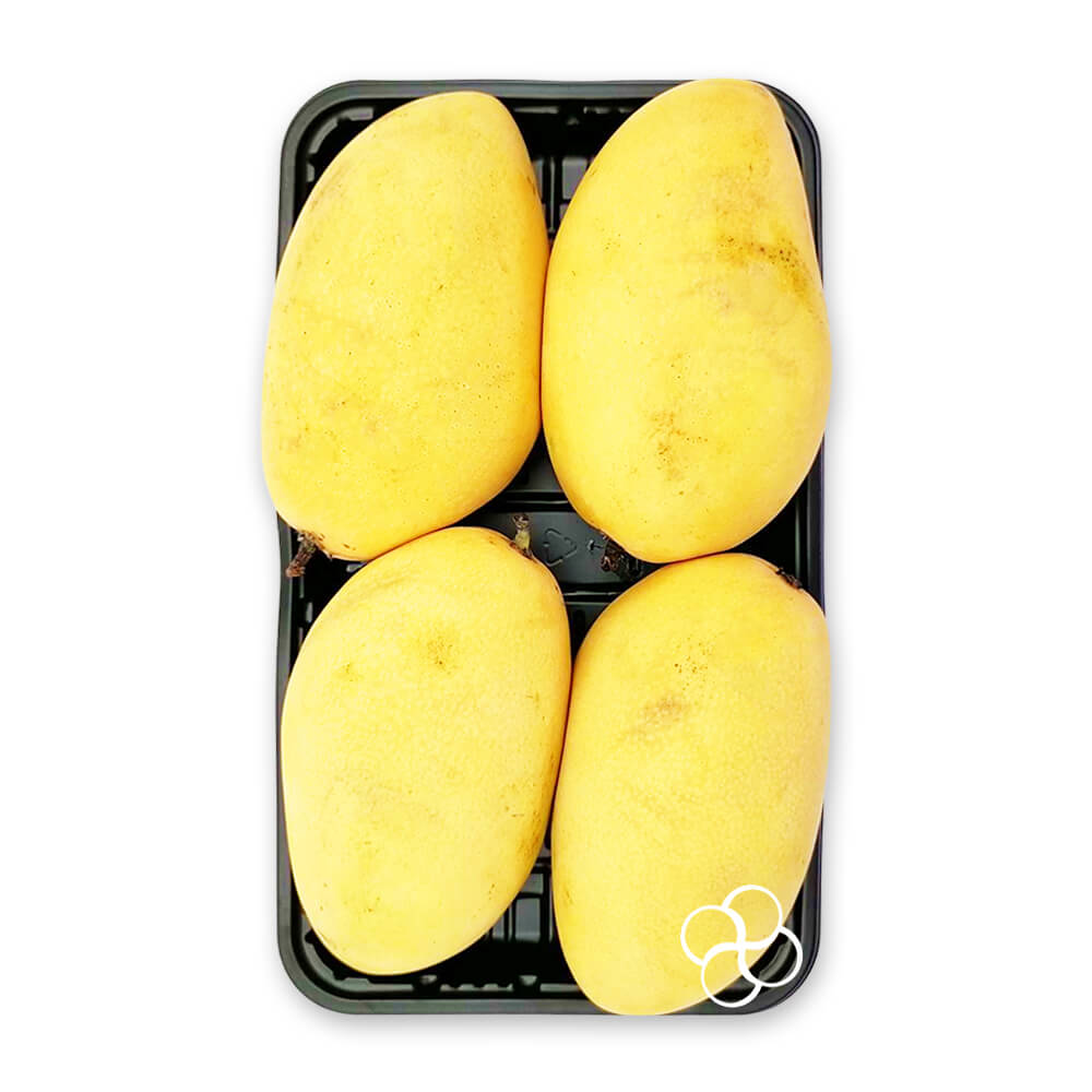 Mylapoo Mango Landers.ph | Landers Superstore